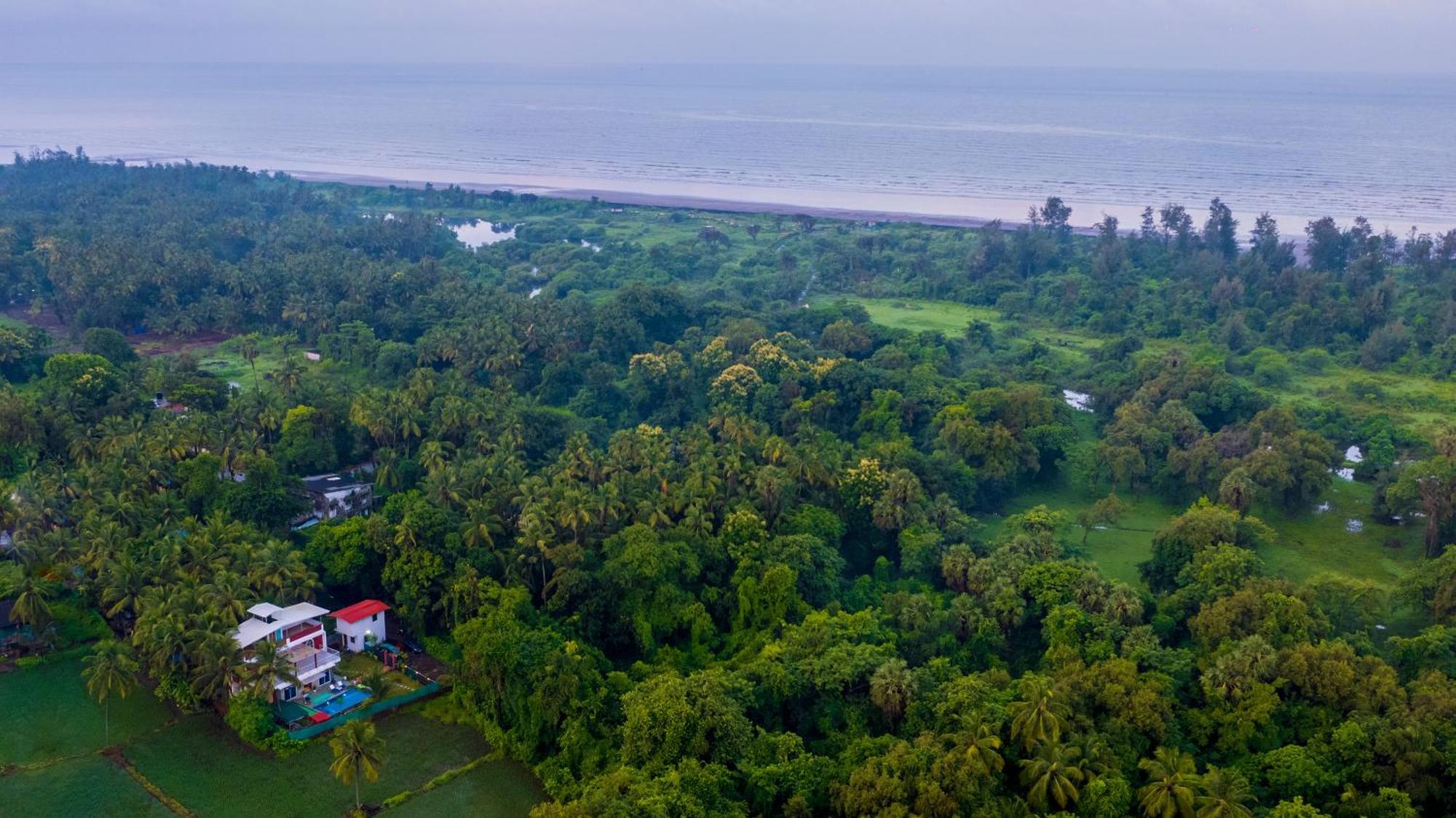 Spicy Mango Villa Elegano - Luxurious Villa Near Nagaon Beach, Alibag 外观 照片